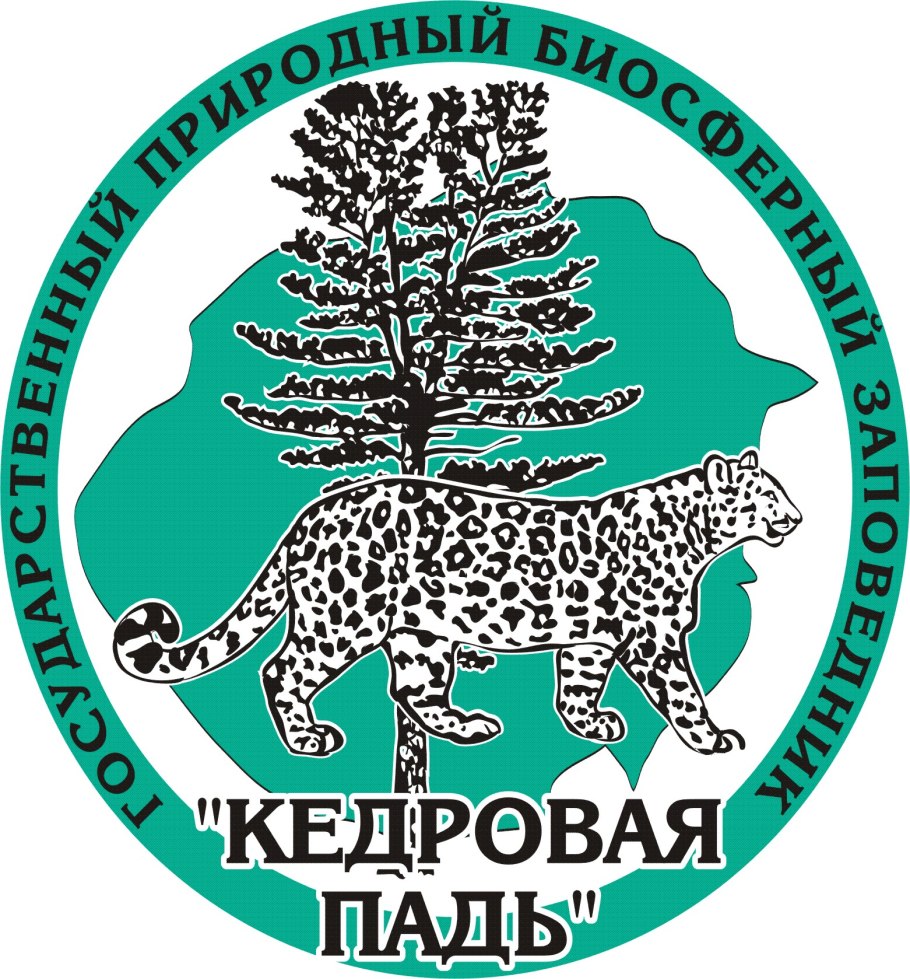 Дальневосточный леопард Кедровая Падь