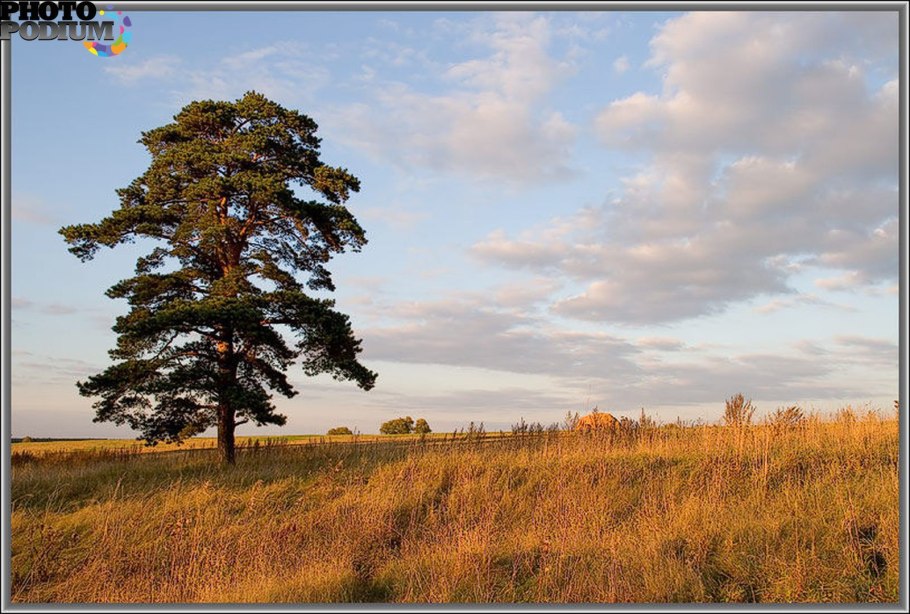 Дубрава лес Башкирия