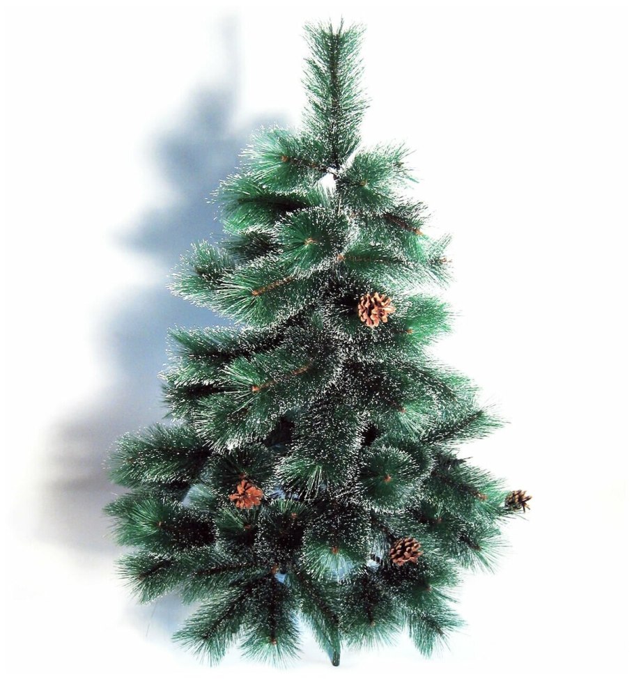 Blue Spruce хвоя