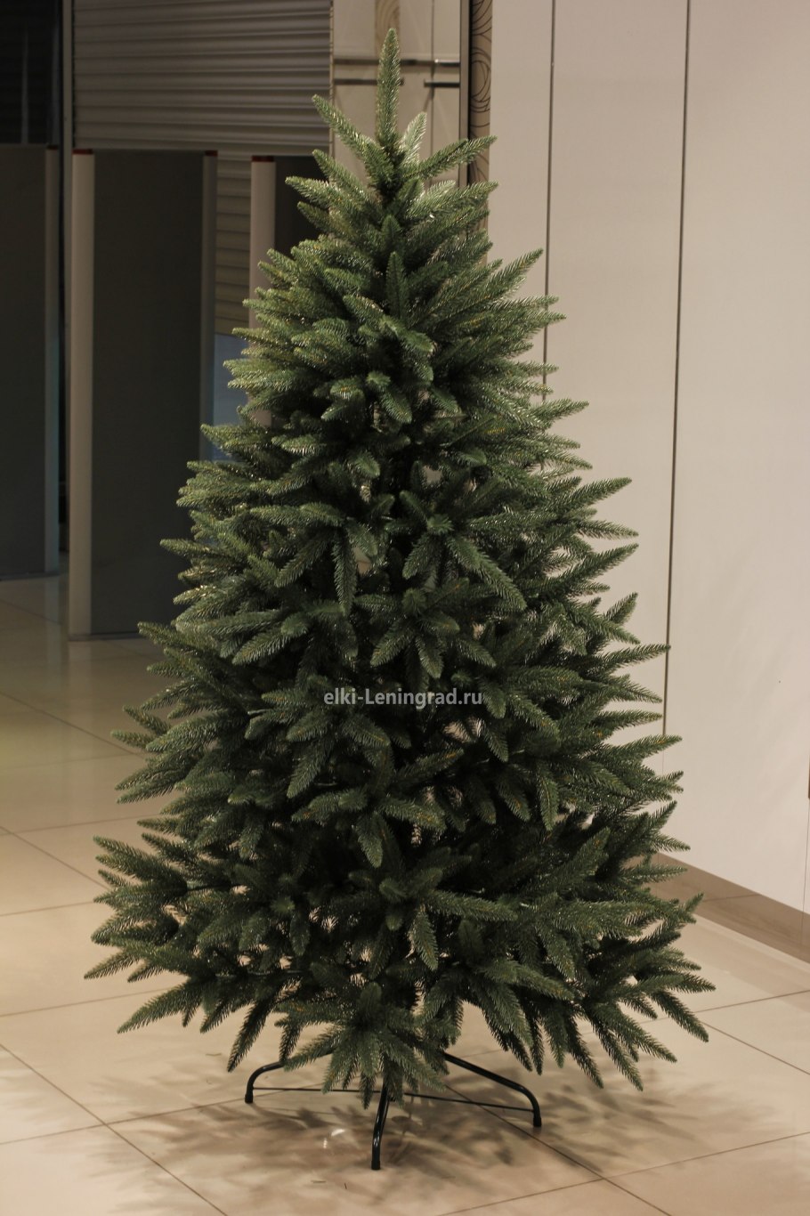 Ель Эмили голубая