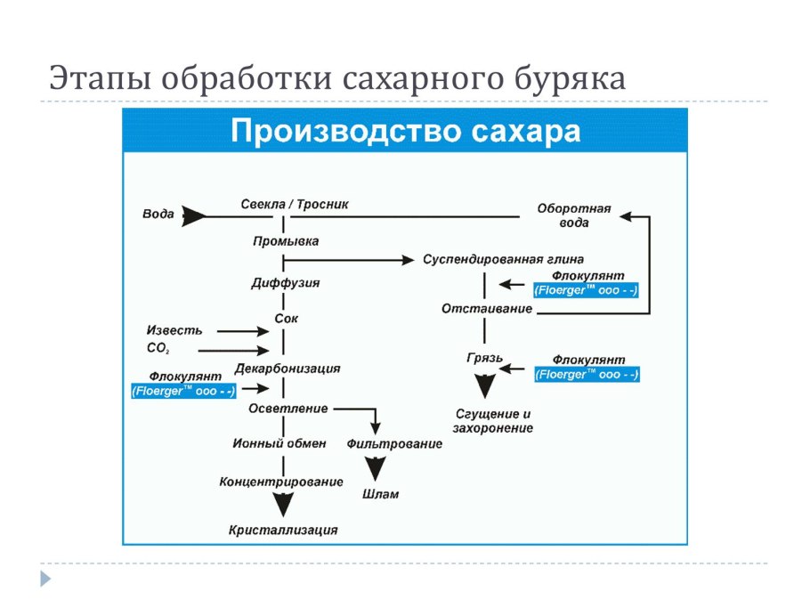 Сахарный тростник Колумбия