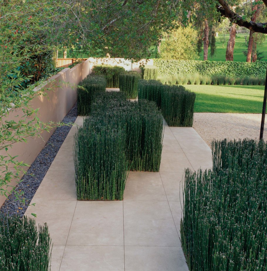 Необычные ландшафтные решения