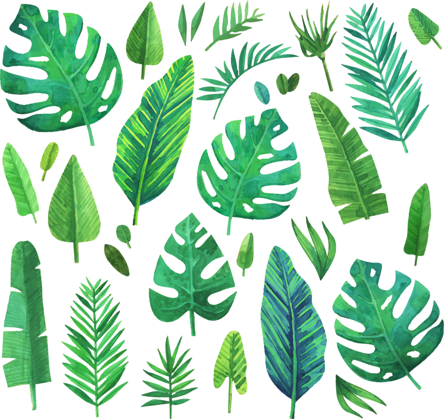 Листья тропических растений