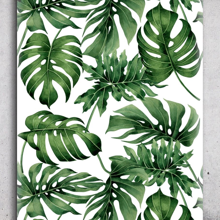 Monstera Tropical Leaf