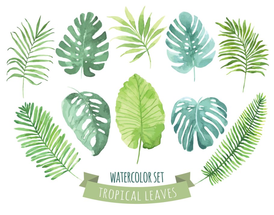 Тропические листья референс
