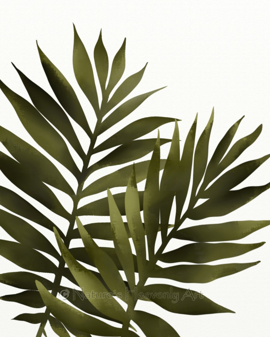 Папоротник робелини