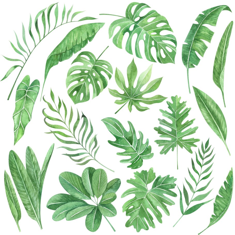 Тропические листья