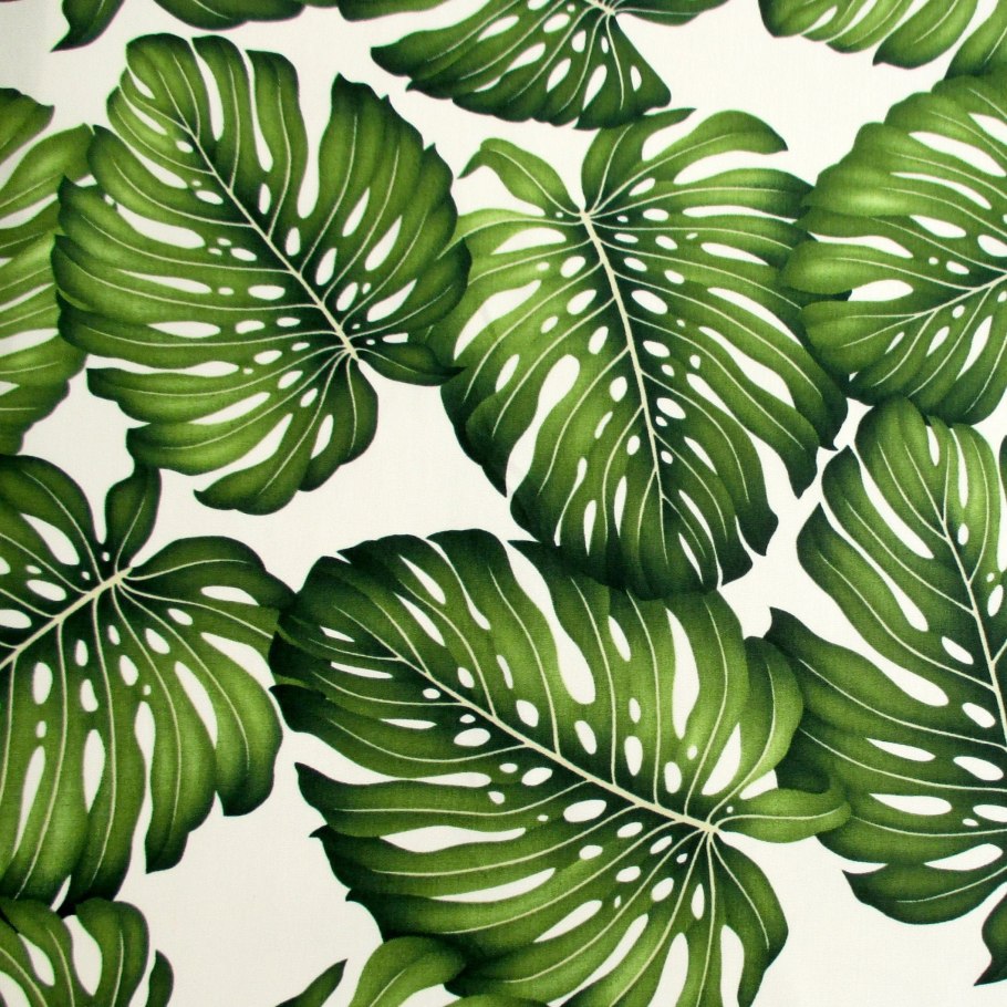 Монстера и папоротник