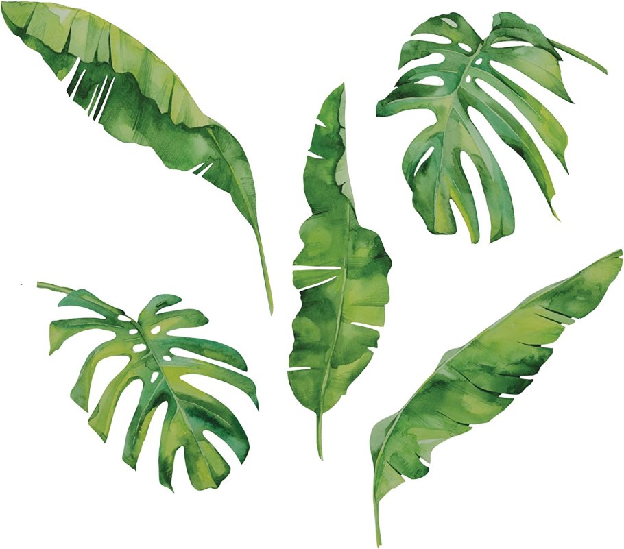 Листья тропических растений