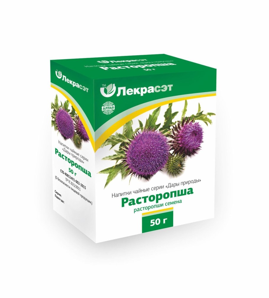 Расторопша как выглядит растение фото на Дальнем востоке России