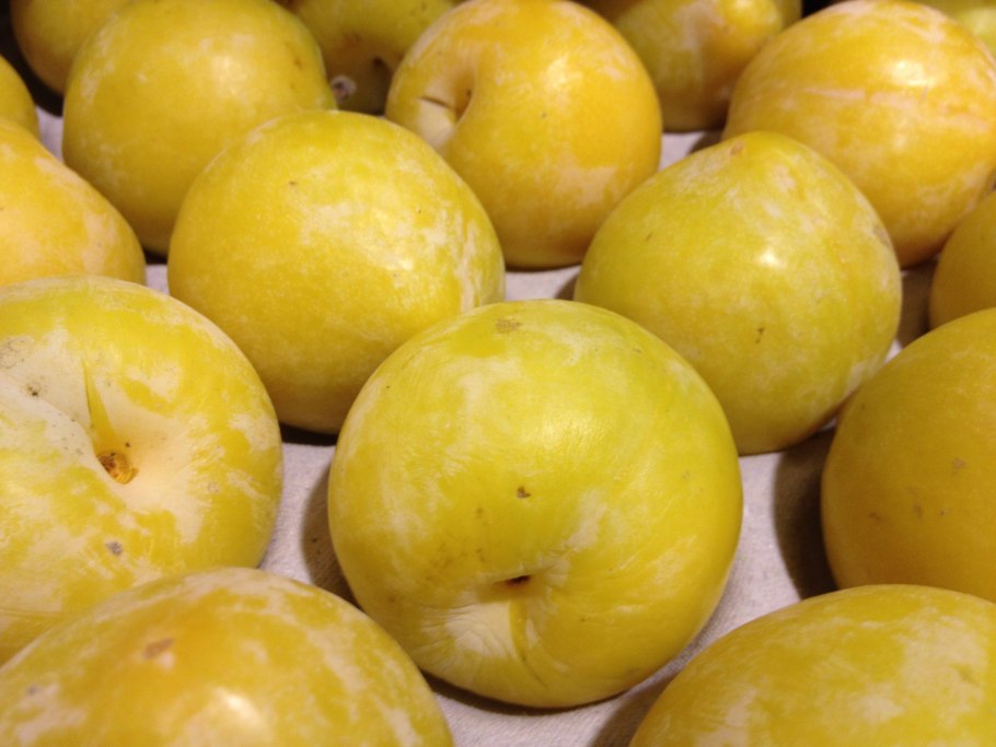 Алыча абрикос