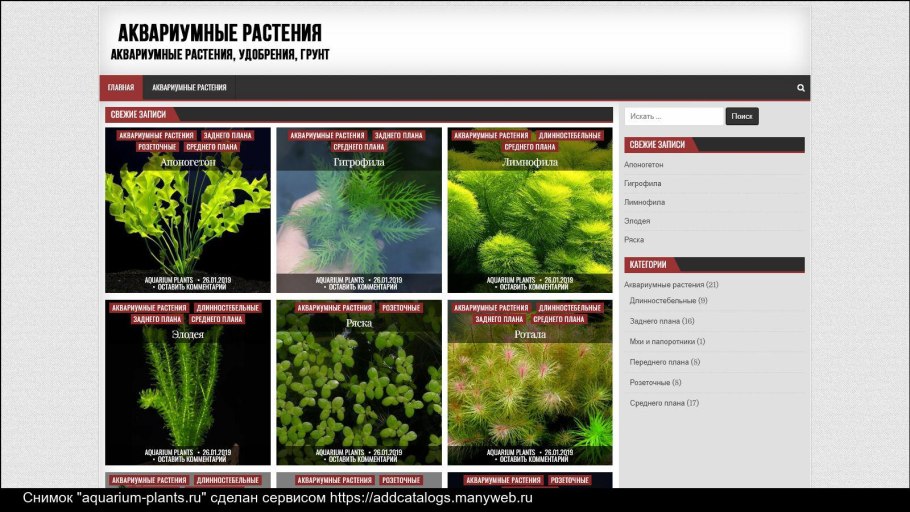 Акваскейп Эхинодорус