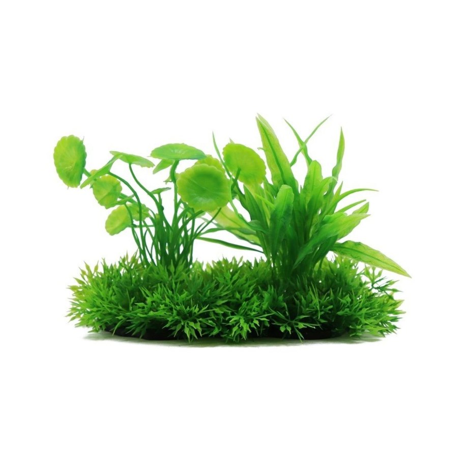 Хелантиум тенеллус