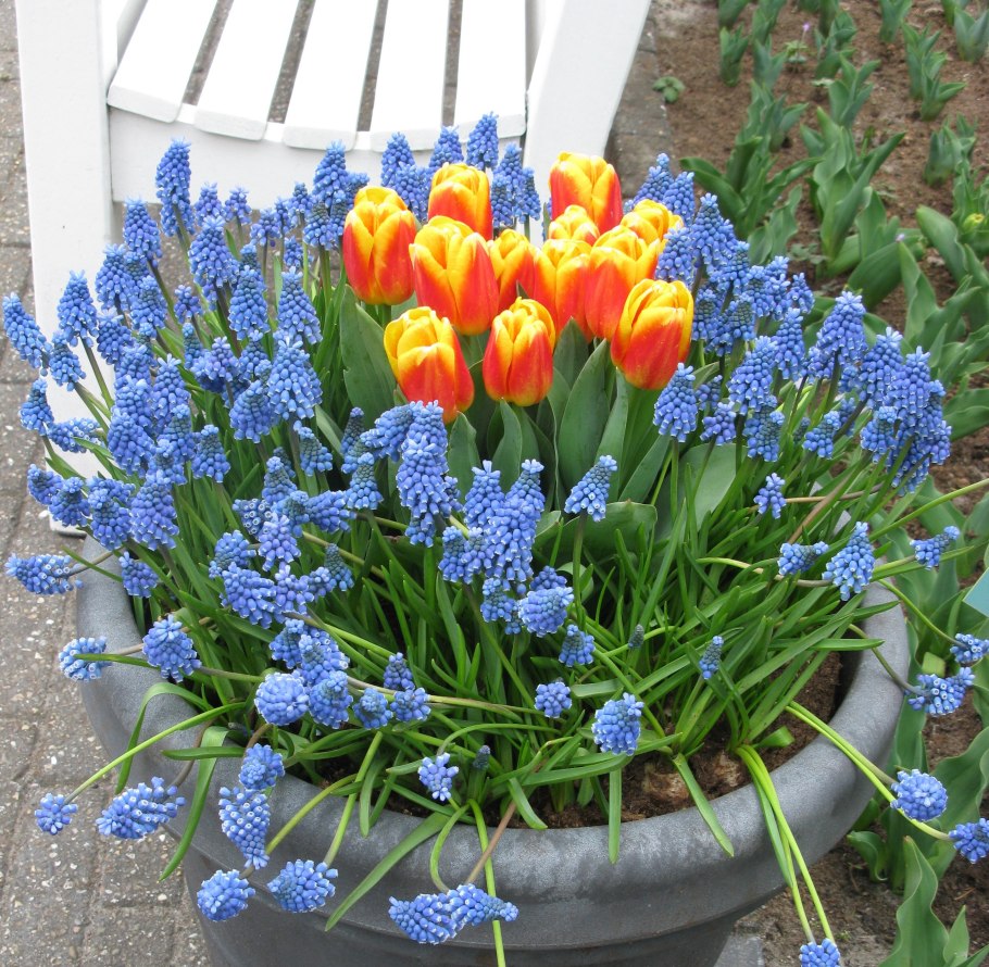 Весна проталины подснежники природа