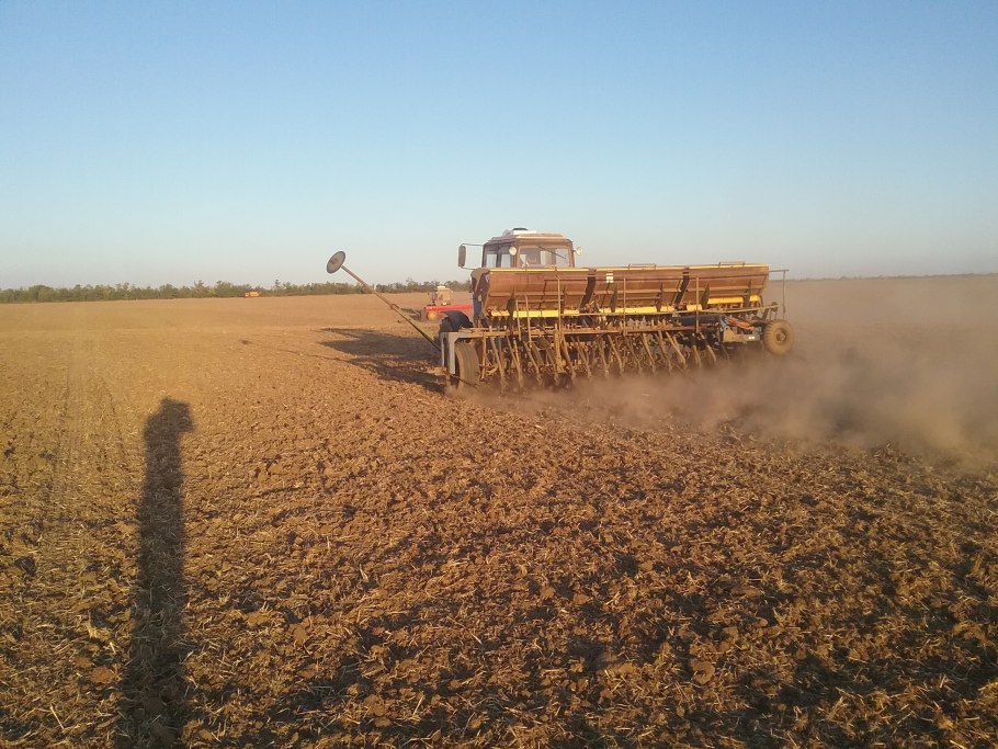 Посев зерна