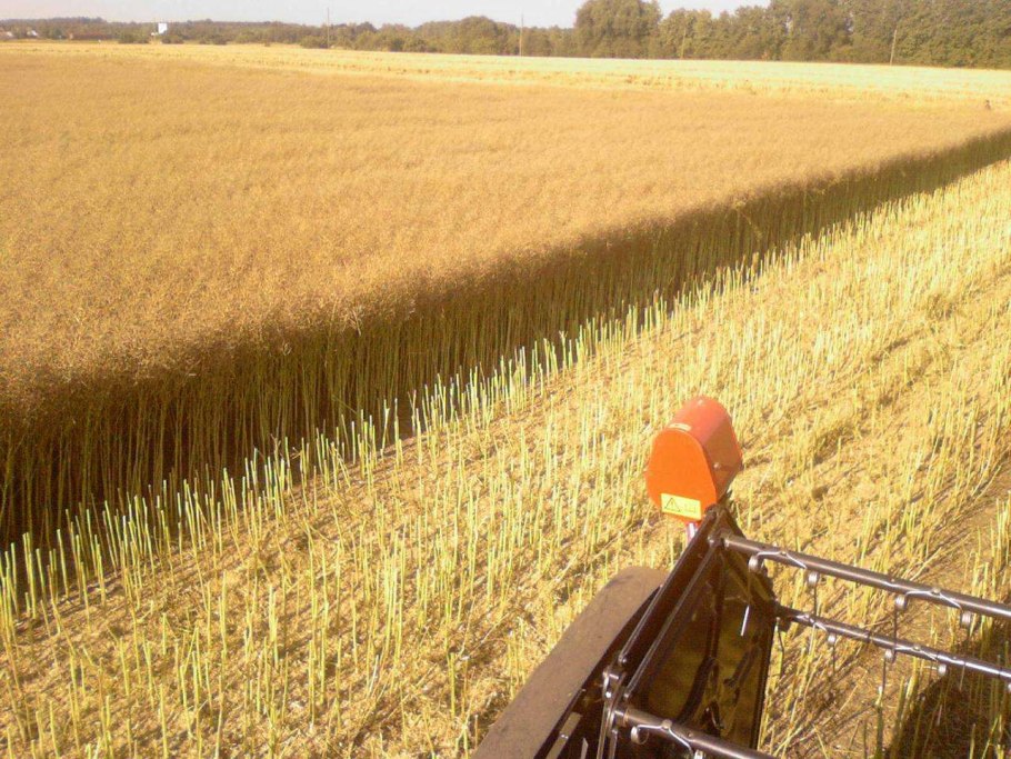 Поле сельское хозяйство