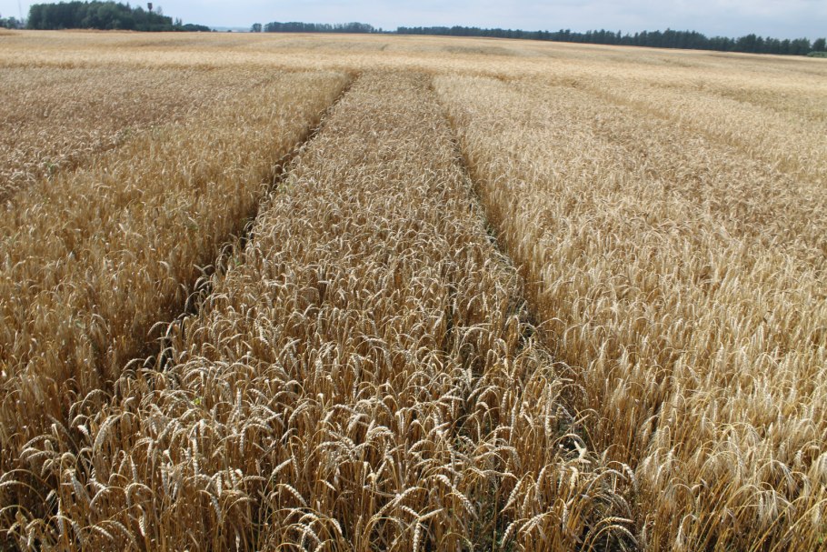 Сельское хозяйство Тамбовской области