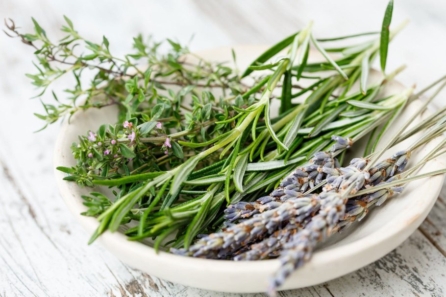 Базилик тимьян розмарин