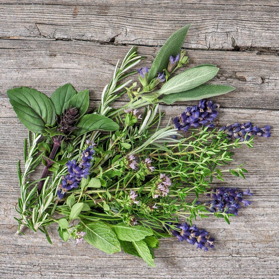 Чабрец тимьян Лаванда