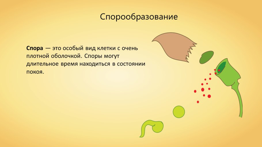 Генеративное размножение растений схема