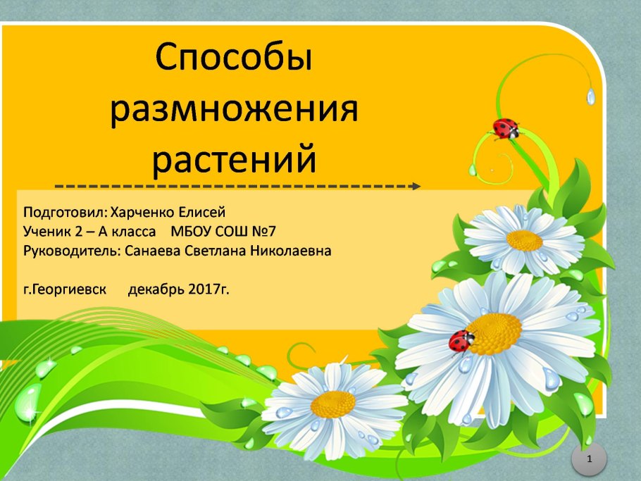 Группа ромашка в детском саду