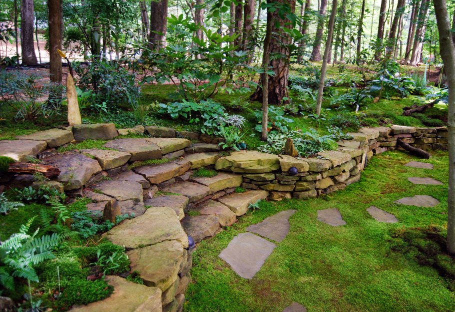 Лишайник дачный ландшафт