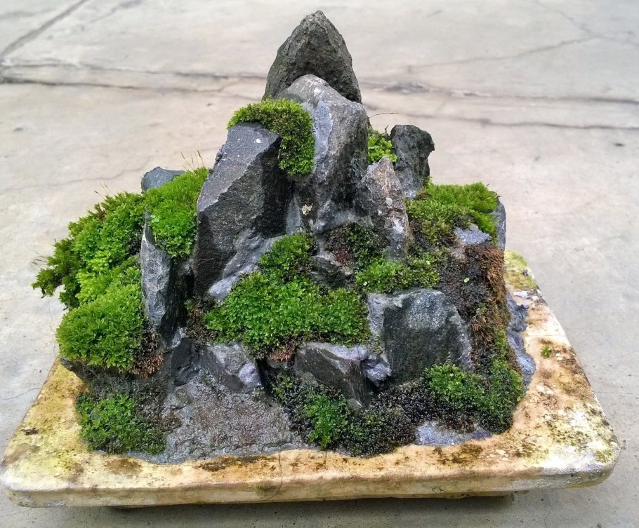Композиция из мха и камней