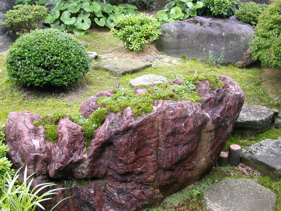 Декоративный мох на клумбе