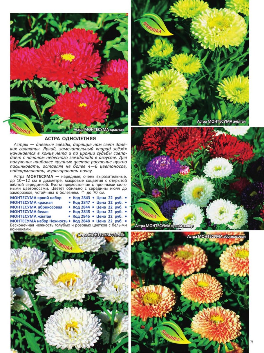 Лютиция Анжес