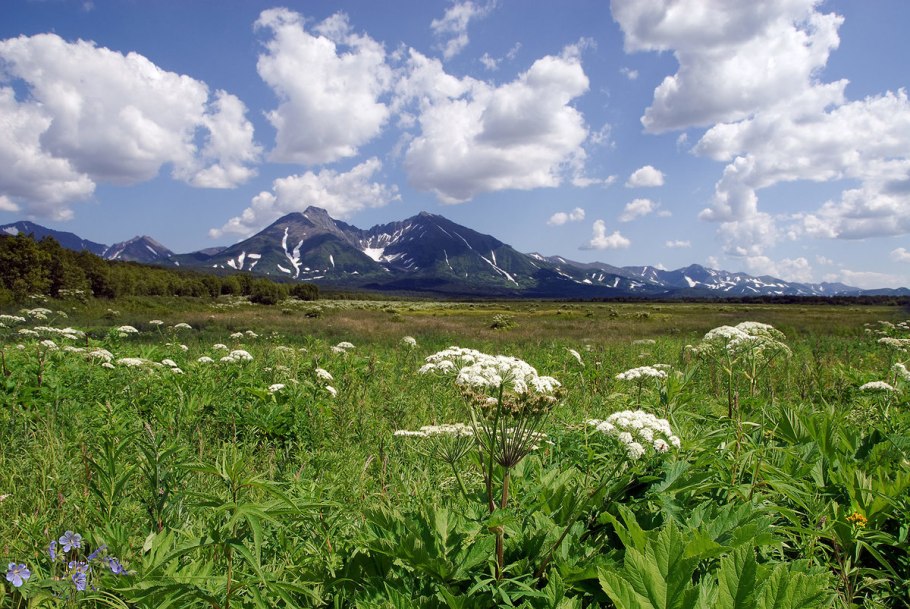 Петропавловск- Камчатский заповедник