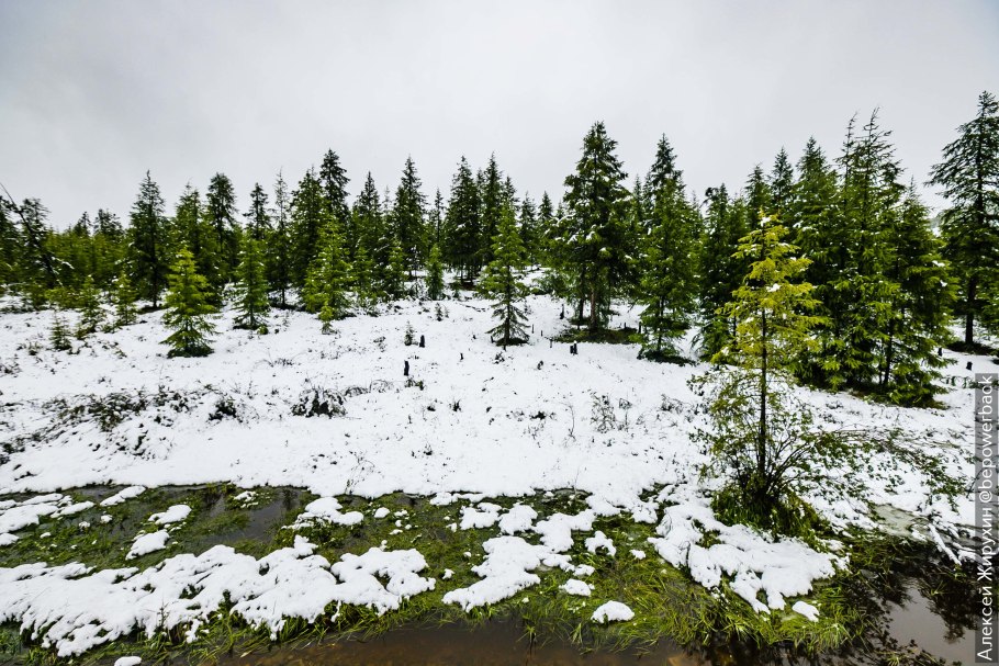 Камчатский край климат