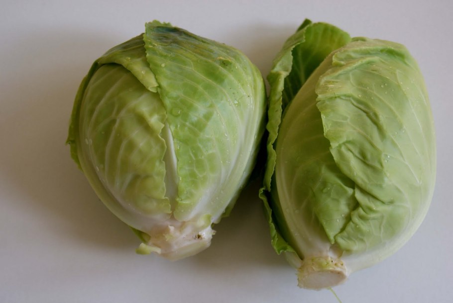 Капуста (Brassica oleracea)