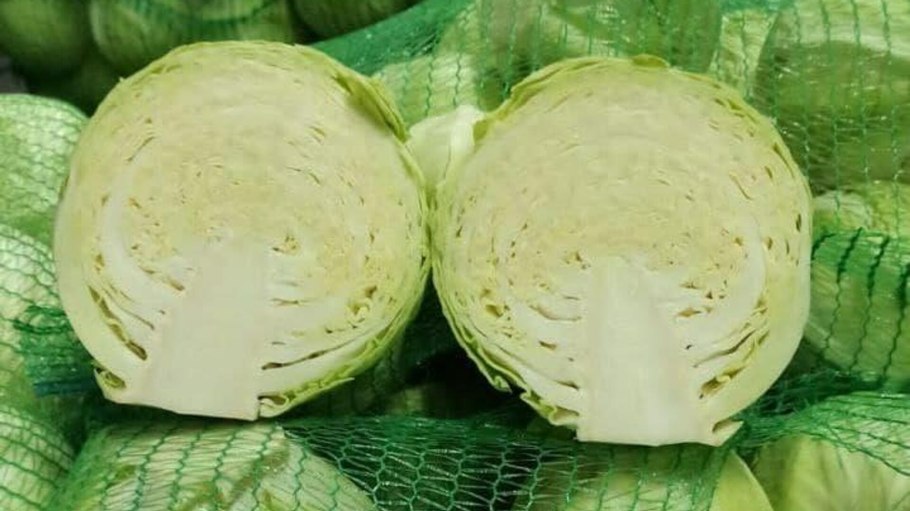 Тумачность Кочанов капусты