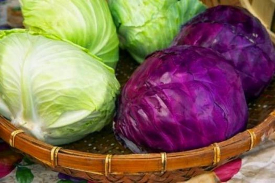 Белокочанная капуста от изжоги