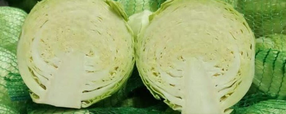 Капуста белокочанная калорийность