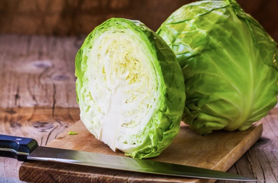 Белокочанная капуста в разрезе