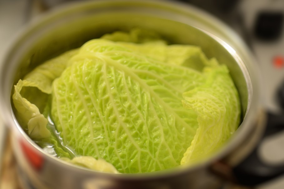 Brassica oleracea сорта