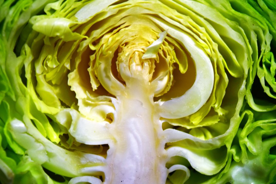 Капуста Робинсон