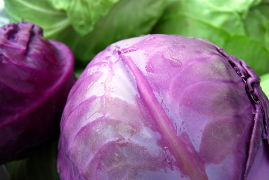 Заря f1 капуста белокочаная