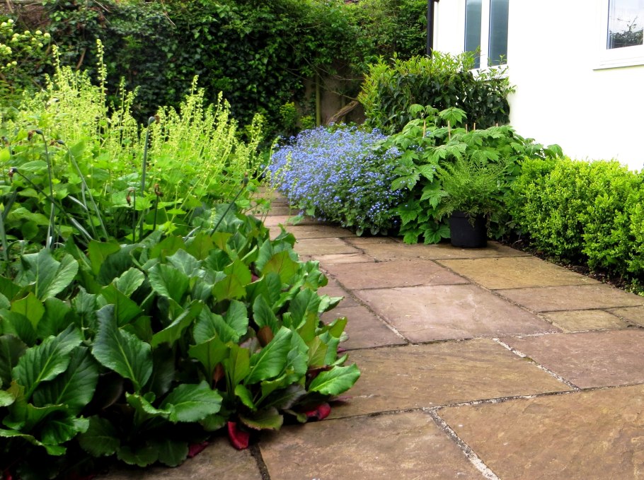 Бруннера Jack Frost