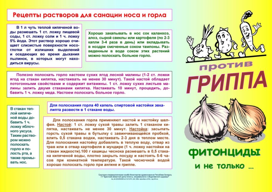 Буклет фитонциды