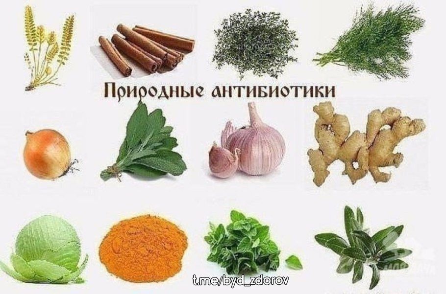 Средство для мытья посуды трио 750 мл