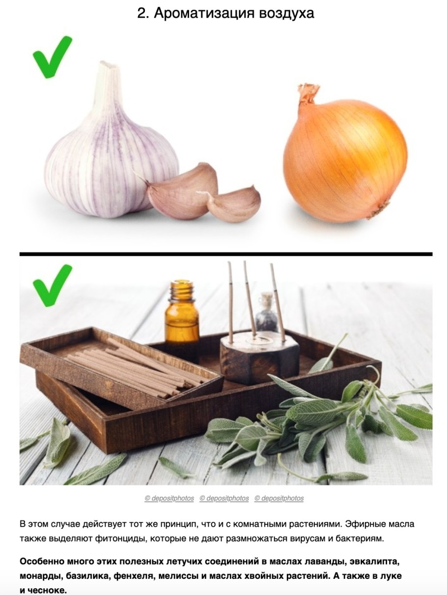 Фитонциды лука и чеснока