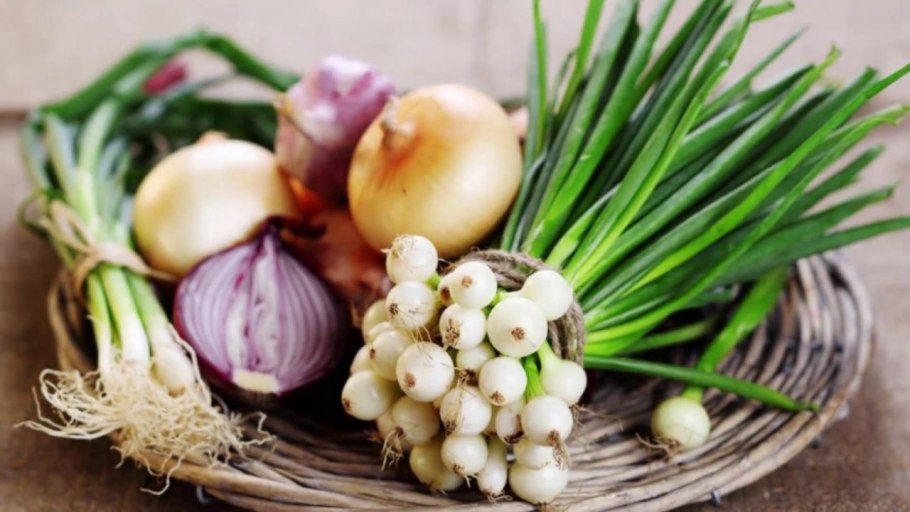 Природные антимикотики