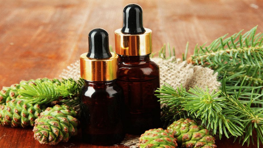 Лук репчатый