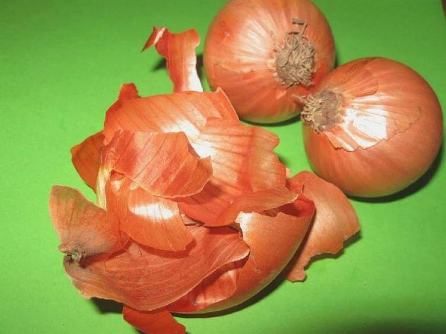 Лук в народной медицине