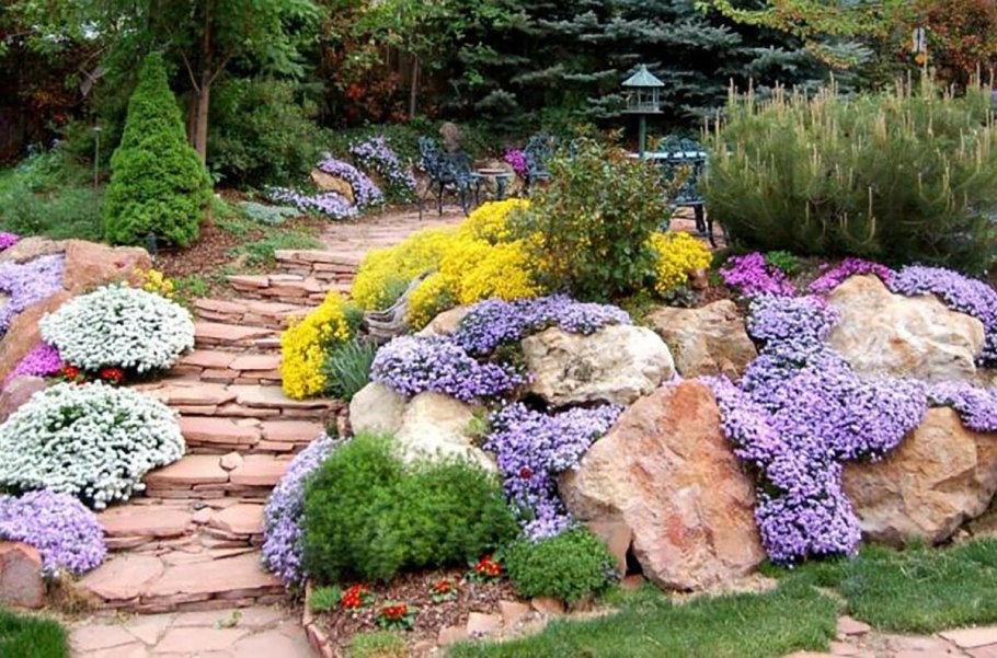 Каменистый цвет