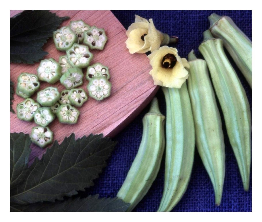 Бамия с овощами блюдо