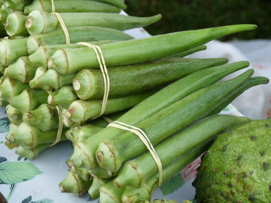 Бамия армянская