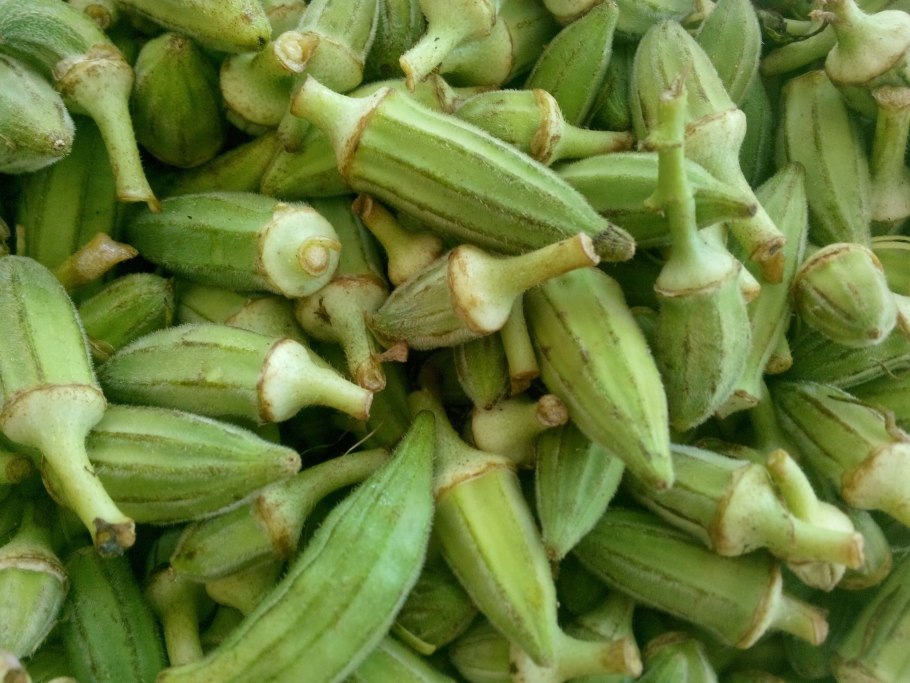 Бамия Родина